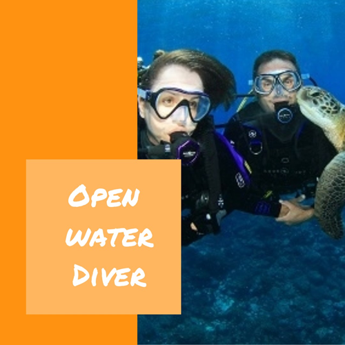 Open Water Diver Digital Kit